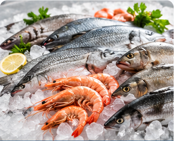 Seafood